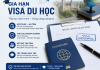Gia hạn Visa du học - Nhân lực HT
